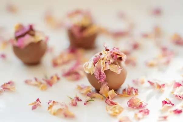 Cresus Casino Aplicación Android/iOS